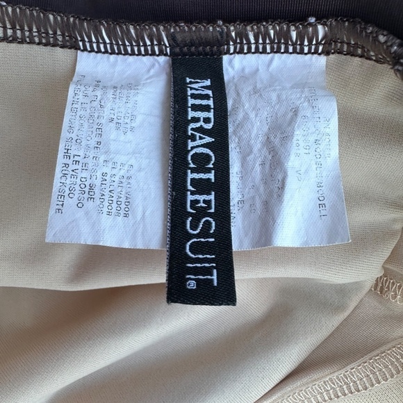 Miraclesuit Brown White Striped One Piece Swimsuit Women's Size 12 - 14? - Picture 7 of 9